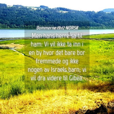 Picture 04 - Dommerne 19:12 NORSK - Men hans herre sa til ham: Vi vil ikke ta inn i - Bible Verse Picture