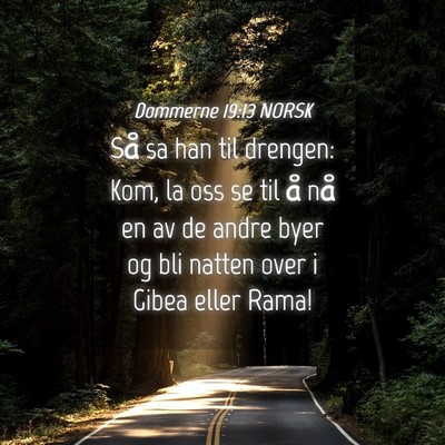 Picture 04 - Dommerne 19:13 NORSK - Så sa han til drengen: Kom, la oss se til å nå - Bible Verse Picture