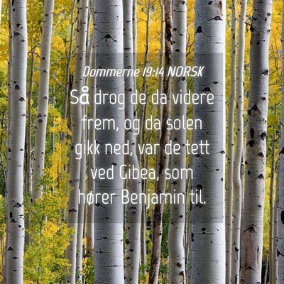 Picture 04 - Dommerne 19:14 NORSK - Så drog de da videre frem, og da solen gikk ned, - Bible Verse Picture
