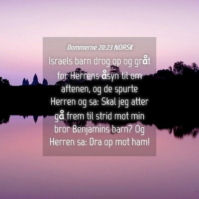 Picture 04 - Dommerne 20:23 NORSK - Israels barn drog op og gråt for Herrens åsyn - Bible Verse Picture