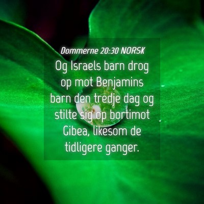 Picture 04 - Dommerne 20:30 NORSK - Og Israels barn drog op mot Benjamins barn den - Bible Verse Picture