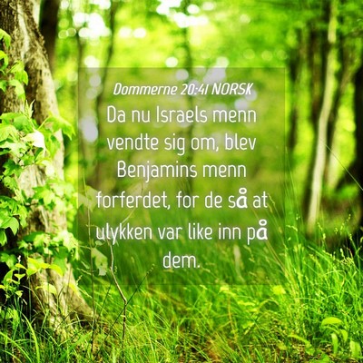 Picture 04 - Dommerne 20:41 NORSK - Da nu Israels menn vendte sig om, blev Benjamins - Bible Verse Picture