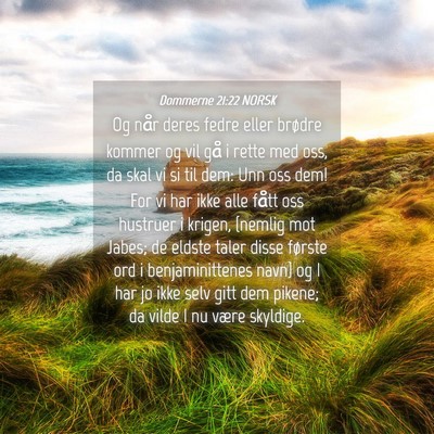 Picture 04 - Dommerne 21:22 NORSK - Og når deres fedre eller brødre kommer og vil - Bible Verse Picture