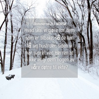 Picture 04 - Dommerne 21:7 NORSK - Hvad skal vi gjøre for dem som er tilbake, så - Bible Verse Picture