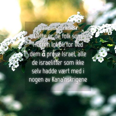 Picture 04 - Dommerne 3:1 NORSK - Dette er de folk som Herren lot bli for ved dem - Bible Verse Picture