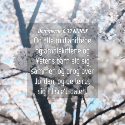 Picture 04 - Dommerne 6:33 NORSK - Og alle midianittene og amalekittene og ¥stens - Bible Verse Picture