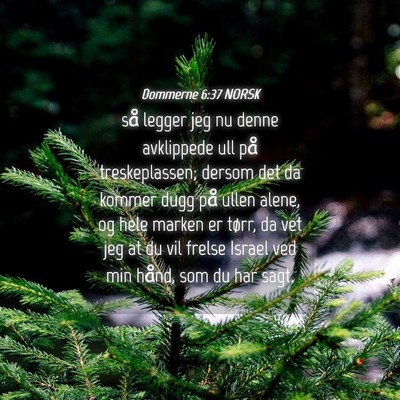 Picture 04 - Dommerne 6:37 NORSK - så legger jeg nu denne avklippede ull på - Bible Verse Picture