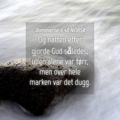 Picture 04 - Dommerne 6:40 NORSK - Og natten efter gjorde Gud således; ullen alene - Bible Verse Picture