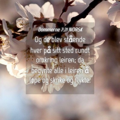 Picture 04 - Dommerne 7:21 NORSK - Og de blev stående hver på sitt sted rundt - Bible Verse Picture