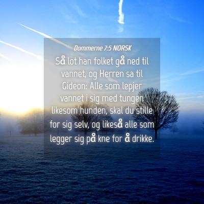 Picture 04 - Dommerne 7:5 NORSK - Så lot han folket gå ned til vannet, og Herren - Bible Verse Picture