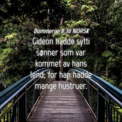 Picture 04 - Dommerne 8:30 NORSK - Gideon hadde sytti sønner som var kommet av hans - Bible Verse Picture