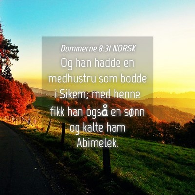 Picture 04 - Dommerne 8:31 NORSK - Og han hadde en medhustru som bodde i Sikem; med - Bible Verse Picture