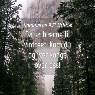 Picture 04 - Dommerne 9:12 NORSK - Da sa trærne til vintreet: Kom du og vær konge - Bible Verse Picture