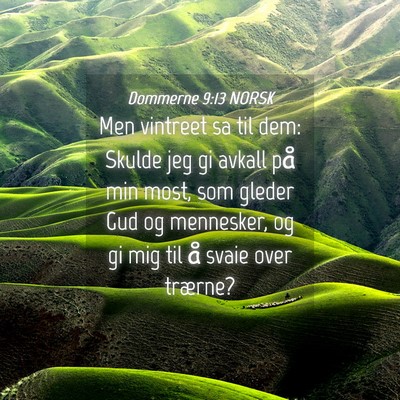 Picture 04 - Dommerne 9:13 NORSK - Men vintreet sa til dem: Skulde jeg gi avkall på - Bible Verse Picture