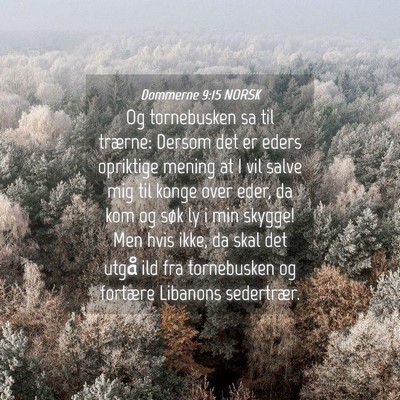 Picture 04 - Dommerne 9:15 NORSK - Og tornebusken sa til trærne: Dersom det er - Bible Verse Picture