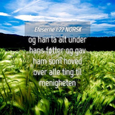 Picture 04 - Efeserne 1:22 NORSK - og han la alt under hans føtter og gav ham som - Bible Verse Picture