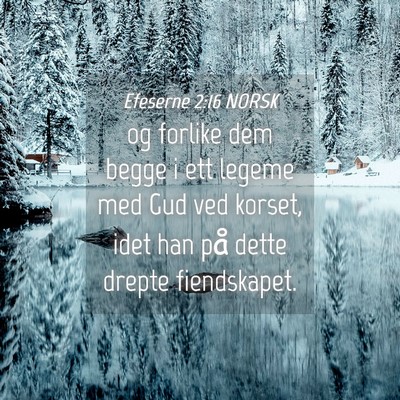 Picture 04 - Efeserne 2:16 NORSK - og forlike dem begge i ett legeme med Gud ved - Bible Verse Picture