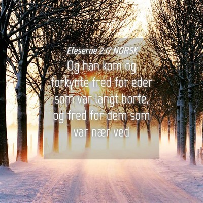 Picture 04 - Efeserne 2:17 NORSK - Og han kom og forkynte fred for eder som var - Bible Verse Picture