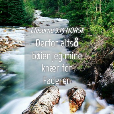 Picture 04 - Efeserne 3:14 NORSK - Derfor altså bøier jeg mine knær for - Bible Verse Picture