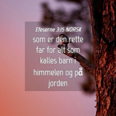 Picture 04 - Efeserne 3:15 NORSK - som er den rette far for alt som kalles barn i - Bible Verse Picture