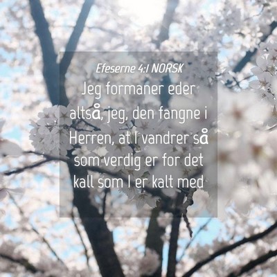 Picture 04 - Efeserne 4:1 NORSK - Jeg formaner eder altså, jeg, den fangne i - Bible Verse Picture