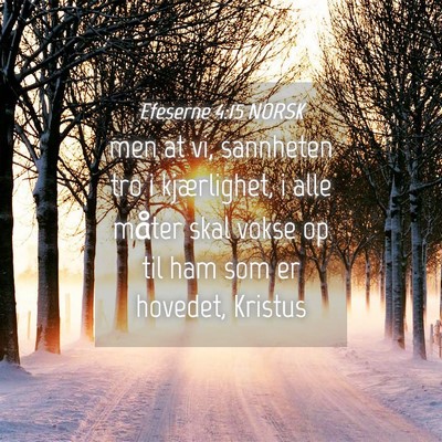 Picture 04 - Efeserne 4:15 NORSK - men at vi, sannheten tro i kjærlighet, i alle - Bible Verse Picture