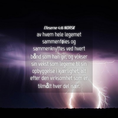Picture 04 - Efeserne 4:16 NORSK - av hvem hele legemet sammenføies og - Bible Verse Picture