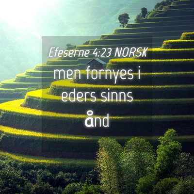 Picture 04 - Efeserne 4:23 NORSK - men fornyes i eders sinns - Bible Verse Picture