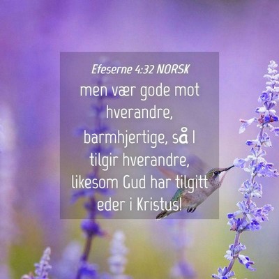 Picture 04 - Efeserne 4:32 NORSK - men vær gode mot hverandre, barmhjertige, så I - Bible Verse Picture