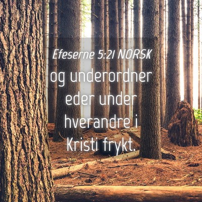Picture 04 - Efeserne 5:21 NORSK - og underordner eder under hverandre i Kristi - Bible Verse Picture