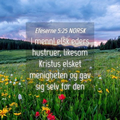 Picture 04 - Efeserne 5:25 NORSK - I menn! elsk eders hustruer, likesom Kristus - Bible Verse Picture