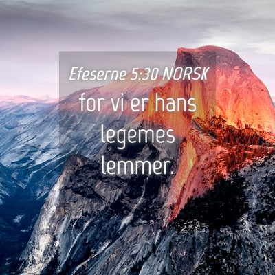 Picture 04 - Efeserne 5:30 NORSK - for vi er hans legemes - Bible Verse Picture