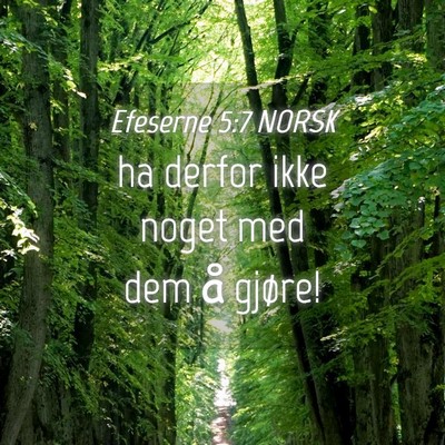 Picture 04 - Efeserne 5:7 NORSK - ha derfor ikke noget med dem å - Bible Verse Picture