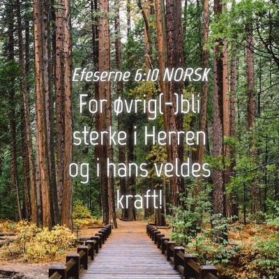 Picture 04 - Efeserne 6:10 NORSK - For øvrig(-)bli sterke i Herren og i hans veldes - Bible Verse Picture