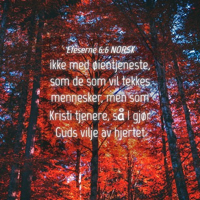 Picture 04 - Efeserne 6:6 NORSK - ikke med øientjeneste, som de som vil tekkes - Bible Verse Picture