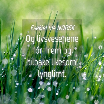 Picture 04 - Esekiel 1:14 NORSK - Og livsvesenene fór frem og tilbake likesom - Bible Verse Picture