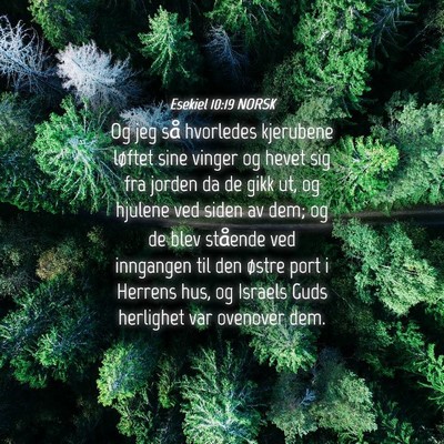 Picture 04 - Esekiel 10:19 NORSK - Og jeg så hvorledes kjerubene løftet sine - Bible Verse Picture