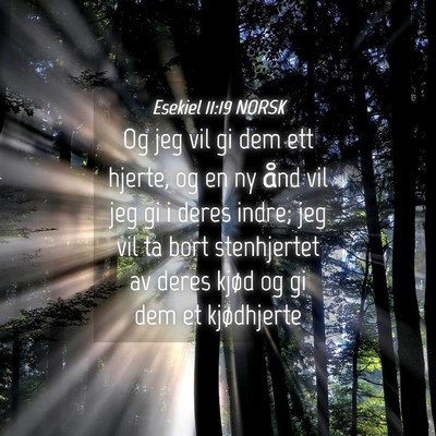 Picture 04 - Esekiel 11:19 NORSK - Og jeg vil gi dem ett hjerte, og en ny ånd vil - Bible Verse Picture