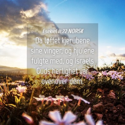 Picture 04 - Esekiel 11:22 NORSK - Da løftet kjerubene sine vinger, og hjulene - Bible Verse Picture