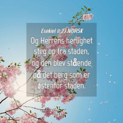 Picture 04 - Esekiel 11:23 NORSK - Og Herrens herlighet steg op fra staden, og den - Bible Verse Picture