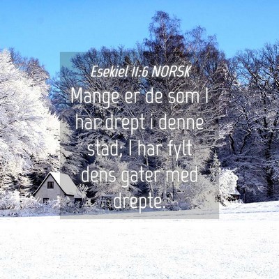 Picture 04 - Esekiel 11:6 NORSK - Mange er de som I har drept i denne stad; I har - Bible Verse Picture
