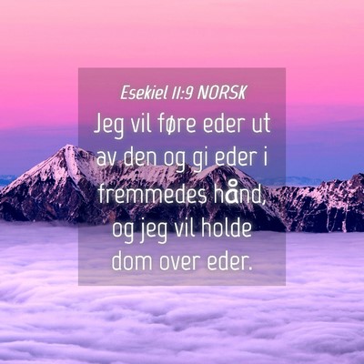 Picture 04 - Esekiel 11:9 NORSK - Jeg vil føre eder ut av den og gi eder i - Bible Verse Picture