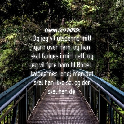 Picture 04 - Esekiel 12:13 NORSK - Og jeg vil utspenne mitt garn over ham, og han - Bible Verse Picture