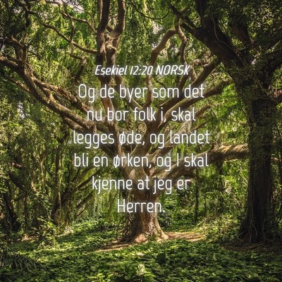 Picture 04 - Esekiel 12:20 NORSK - Og de byer som det nu bor folk i, skal legges - Bible Verse Picture
