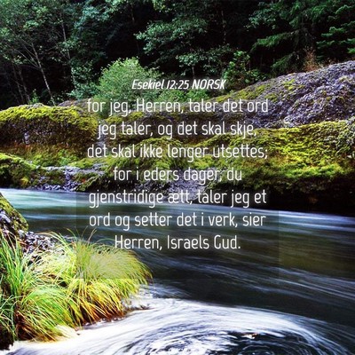 Picture 04 - Esekiel 12:25 NORSK - for jeg, Herren, taler det ord jeg taler, og det - Bible Verse Picture