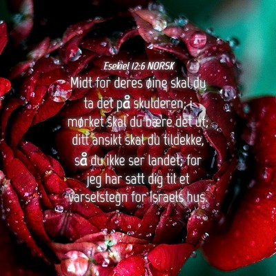 Picture 04 - Esekiel 12:6 NORSK - Midt for deres øine skal du ta det på - Bible Verse Picture