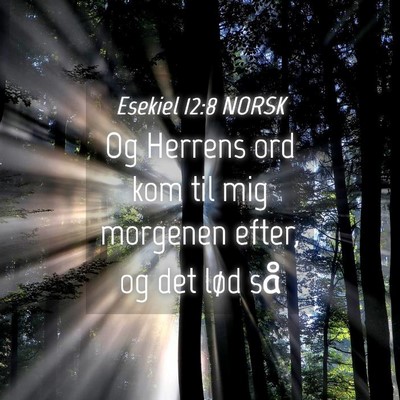 Picture 04 - Esekiel 12:8 NORSK - Og Herrens ord kom til mig morgenen efter, og det - Bible Verse Picture