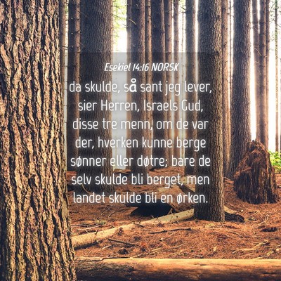 Picture 04 - Esekiel 14:16 NORSK - da skulde, så sant jeg lever, sier Herren, - Bible Verse Picture