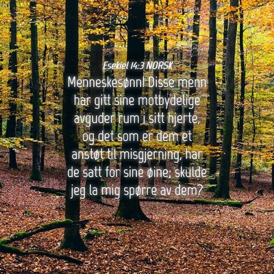 Picture 04 - Esekiel 14:3 NORSK - Menneskesønn! Disse menn har gitt sine - Bible Verse Picture
