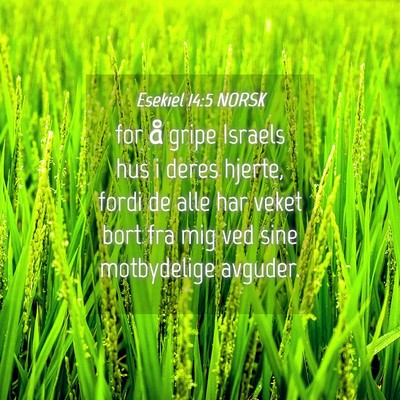 Picture 04 - Esekiel 14:5 NORSK - for å gripe Israels hus i deres hjerte, fordi de - Bible Verse Picture